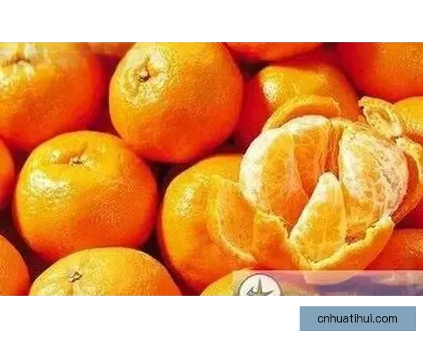 世界杯竞猜赔率平台最新分析与胜负预测全面指南